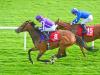 Baby in the Pink in Oyster heat at Galway