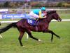 Frankel colt Old Glory impresses on debut at Naas