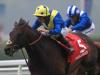 Owen Burrows eyes Ascot comeback for Laraaib