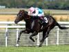 Mirage Dancer bidding to leave lasting Legacy at Newbury