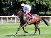Full steam ahead for Martyn Meade with Dewhurst bid for Advertise