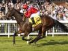 Take Cover poised to go out in a blaze of glory at Newbury