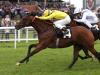 Politicise shows character to bounce back at Newbury
