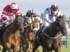 Son Of Rest and Baron Bolt prove inseparable in Ayr Gold Cup epic