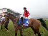 Coneygree in Down Royal frame for latest comeback
