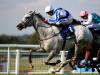 Thundering Blue takes top honours with Stockholm Cup success