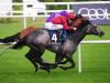 Breeders’ Cup challenge remains on the radar for Roaring Lion team
