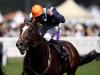 Accidental Agent drops in class in search of Joel Stakes joy