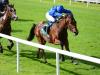 Quorto to sidestep Dewhurst and wait for next season