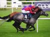 Roaring Lion stands ground for Champion Stakes – but ground could have final say