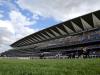 Champions Day ground will be soft