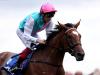 Enable team banking on curtailed campaign yielding Breeders’ Cup advantage