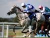 Blue may head to Japan next
