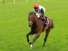 Cracksman all set for glorious finale in Champion Stakes