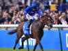Best Solution battles to brave Caulfield Cup success for Bin Suroor and Cosgrave