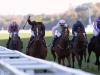 Stradivarius goes the distance at Ascot to round off brilliant campaign
