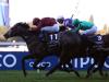 Roaring Lion team to bide their time before making Breeders’ Cup decision