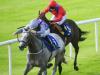 Burke’s Breeders’ Cup hopes centre on Havana