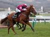 Samcro and Faugheen head stellar cast of possibles for Morgiana Hurdle