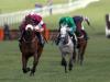 Dinaria Des Obeaux faces eight rivals in defence of Clonmel crown