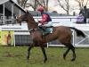 Slick Doctor Phoenix chasing Clonmel Oil riches