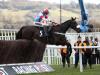 Calvados set to tackle Altior in Tingle Creek