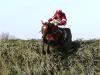 National victor Tiger Roll returns to the fray at Cheltenham