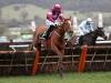 Samcro and Faugheen poised for Morgiana Hurdle showdown