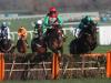 Quel Destin sees off Cracker Factory in Triumph Trial