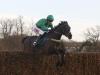 Sceau Royal set for Shloer assignment at Cheltenham