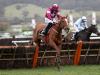 Samcro bypasses Morgiana test due to quick conditions at Punchestown