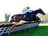 Sharjah strikes Morgiana gold as Faugheen has to settle for second