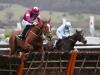 Samcro Fighting Fifth plan has Newcastle purring