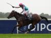 Enable will be back next year