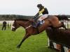 Newbury favourite Elegant Escape primed for Trophy bid