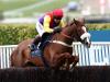 Tizzard will relish River rematch with Might Bite