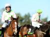 Walsh still has faith in Faugheen