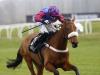 Bague likely to return to Newbury