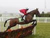 International Hurdle could be final assignment for The New One