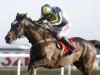 Christmas Hurdle tilt could be favoured for If The Cap Fits