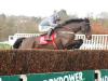 Pat Fahy sets sights on Leopardstown date with Castlegrace Paddy