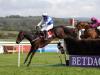 Kemboy on course for Christmas outing at Leopardstown