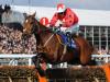 The New One retired after International run