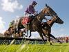 Easy Game aiming to show off winning moves at Navan