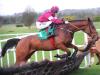 Battleoverdoyen dazzles in winning start over hurdles