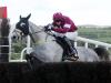 Disko pleases Noel Meade in racecourse workout