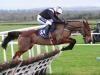 Champion Bumper heroine Relegate up and running over hurdles