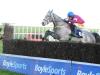 Tout Est Permis books Cheltenham ticket with last-gasp Thurles victory