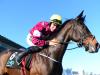 Gordon Elliott hoping Apple’s Jade can seize Champion Hurdle chance