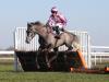 Southfield Stone shocks Angels Breath in Dovecote